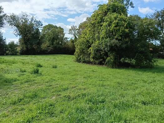 Terrain constructible à vendre 149 100 € 4 064 m² de terrain La Barre-de-Monts 85550