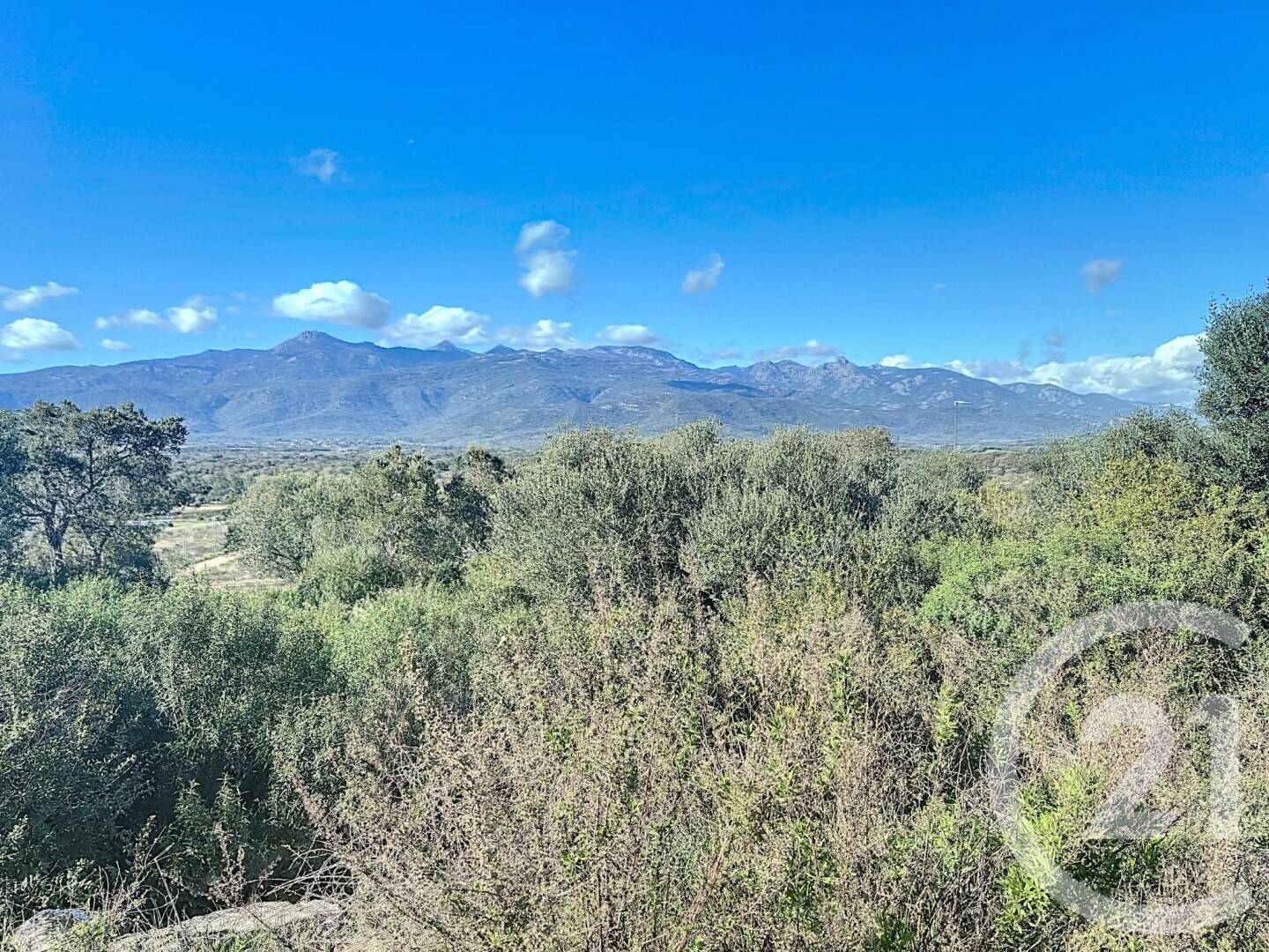 Terrain de 875 m² à Porto-Vecchio - photo 2
