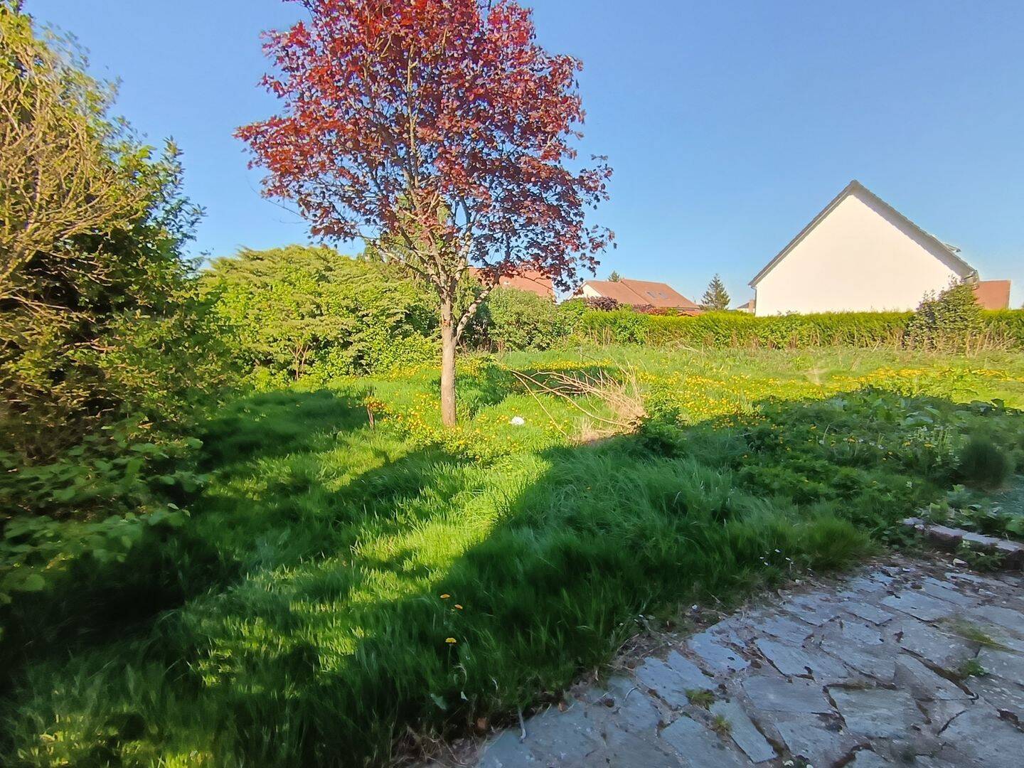 Terrain de 470 m² à Les Trois-Pierres - photo 2
