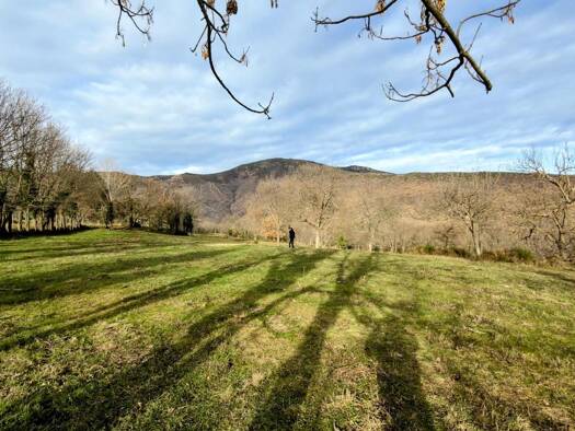 Maison à vendre 40 000 € 3 pièces 1 chambre 68 m² 34 m² de terrain La Bastide 66110