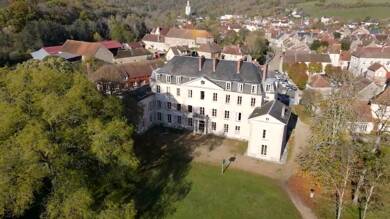 Château à vendre 1 000 000 € 40 pièces 20 chambres 2 000 m² 50 000 m² de terrain L'Isle-sur-Serein 89440