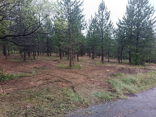 Terrain constructible à vendre 89 000 € 408 m² de terrain Mollans-sur-Ouvèze 26170