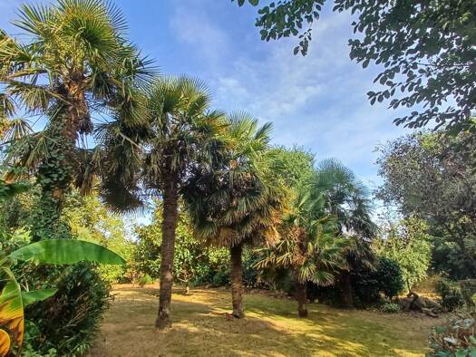 Maison à vendre 440 000 € 6 pièces 4 chambres 149,8 m² 2 920 m² de terrain Rédené 29300