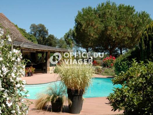 Maison en viager libre Bouquet 174 000 € 8 pièces 3 chambres 290 m² 4 200 m² de terrain Vieux Bergerac Bergerac 24100