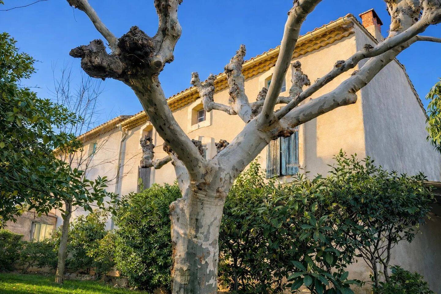Maison 15 pièces 520 m² · à La Fare-les-Oliviers · 520 m² · 850 000 €