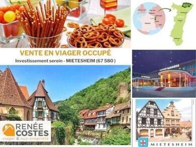 Maison en viager occupé Bouquet 62 036 € 6 pièces 3 chambres 110 m² 860 m² de terrain Gundershoffen 67110