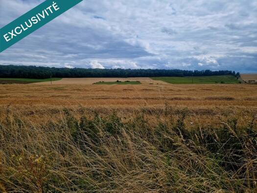 Terrain constructible à vendre 134 000 € 1 121 m² de terrain Doncourt-lès-Longuyon 54620