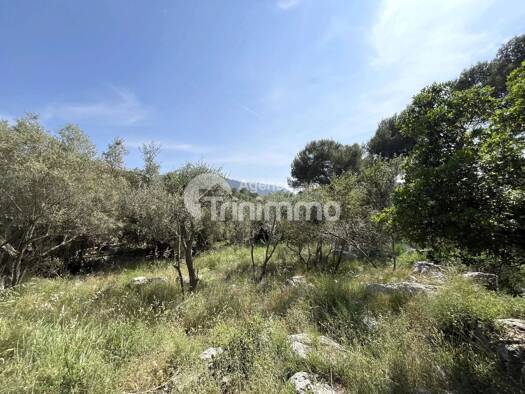 Terrain constructible à vendre 220 000 € 1 077 m² de terrain dès le 24/07/2026 Drap 06340