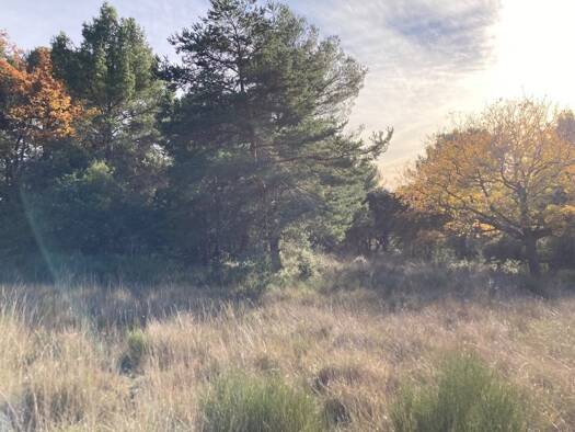 Terrain constructible à vendre 124 000 € 2 610 m² de terrain Baudinard-sur-Verdon 83630