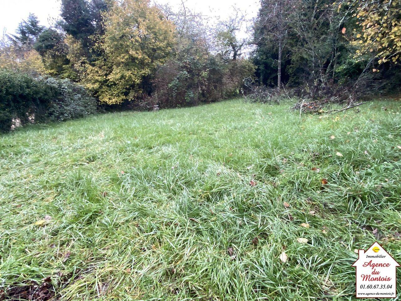 Terrain de 405 m² à Cessoy-en-Montois - photo 2