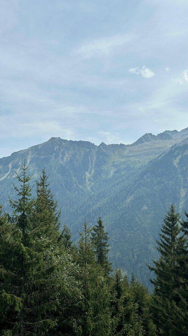 Appartement 4 pièces 82 m² · à Montriond · 82 m² · 881 000 €