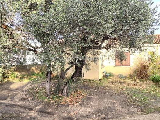 Maison à vendre 449 000 € 4 pièces 3 chambres 90 m² 787 m² de terrain Jonquieres Est Martigues 13500