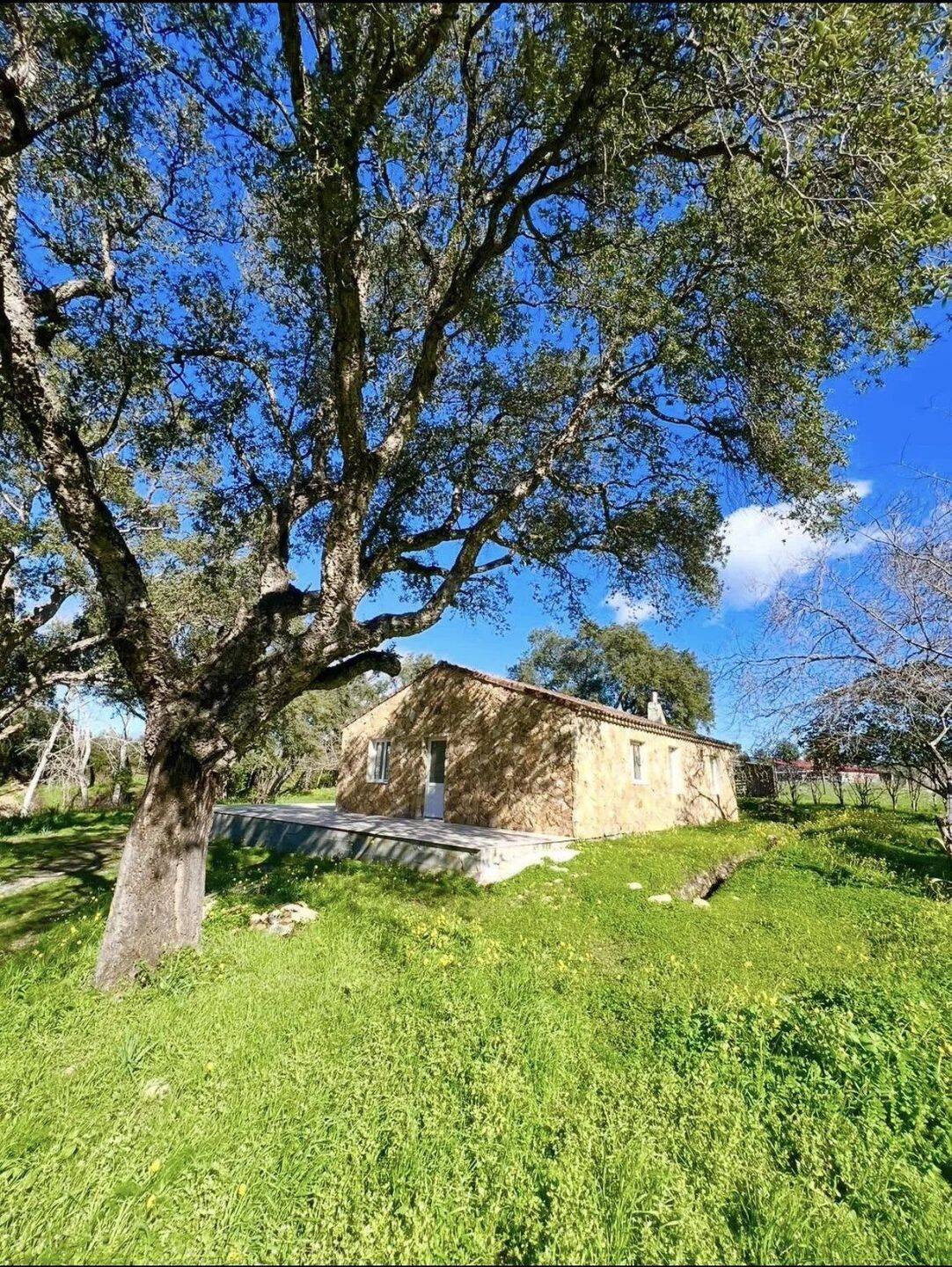 Maison 4 pièces 82 m² · à Aléria · 82,4 m² · 365 000 €