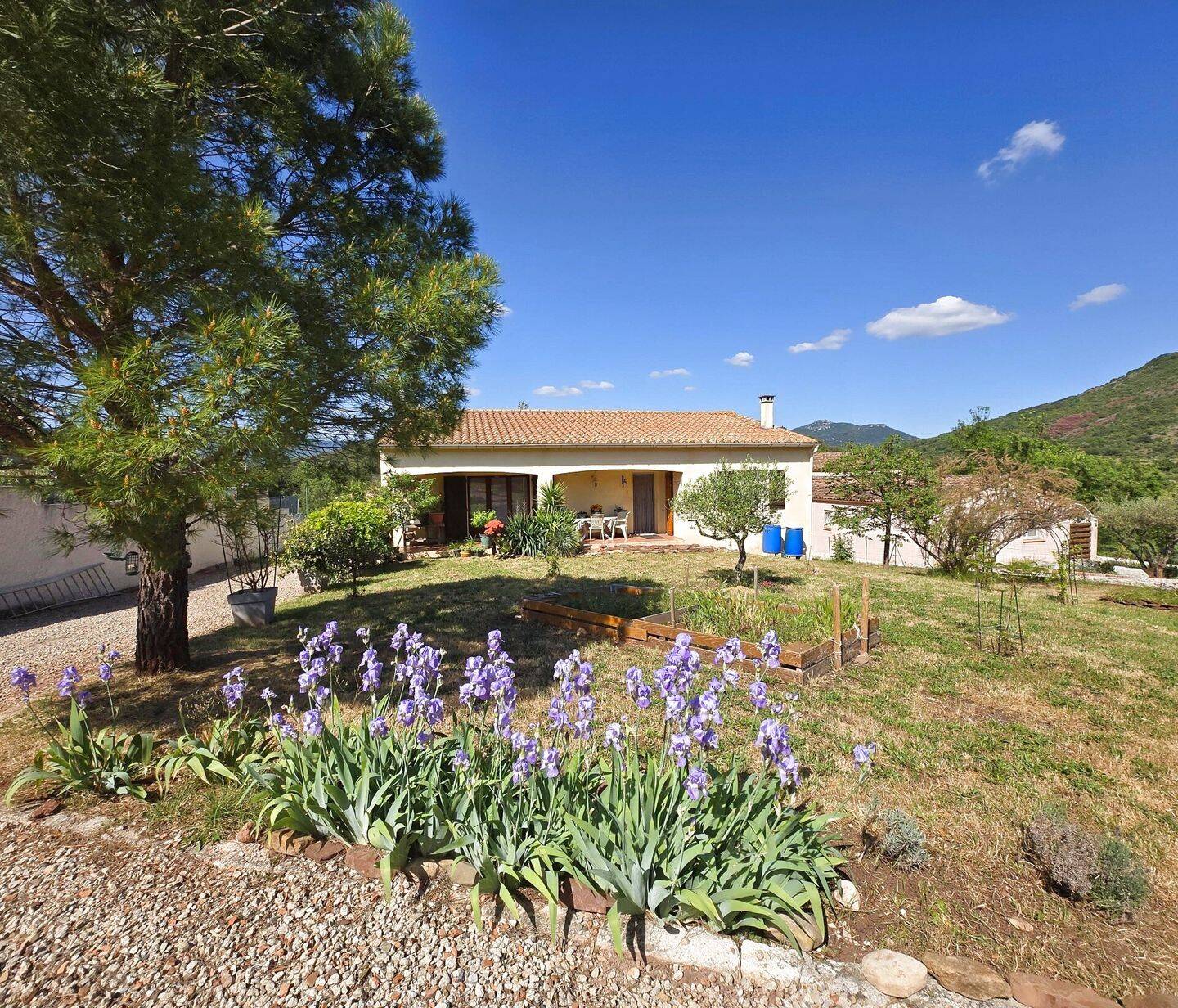 Maison 5 pièces 120 m² · à Le Bosc · 120 m² · 365 000 €