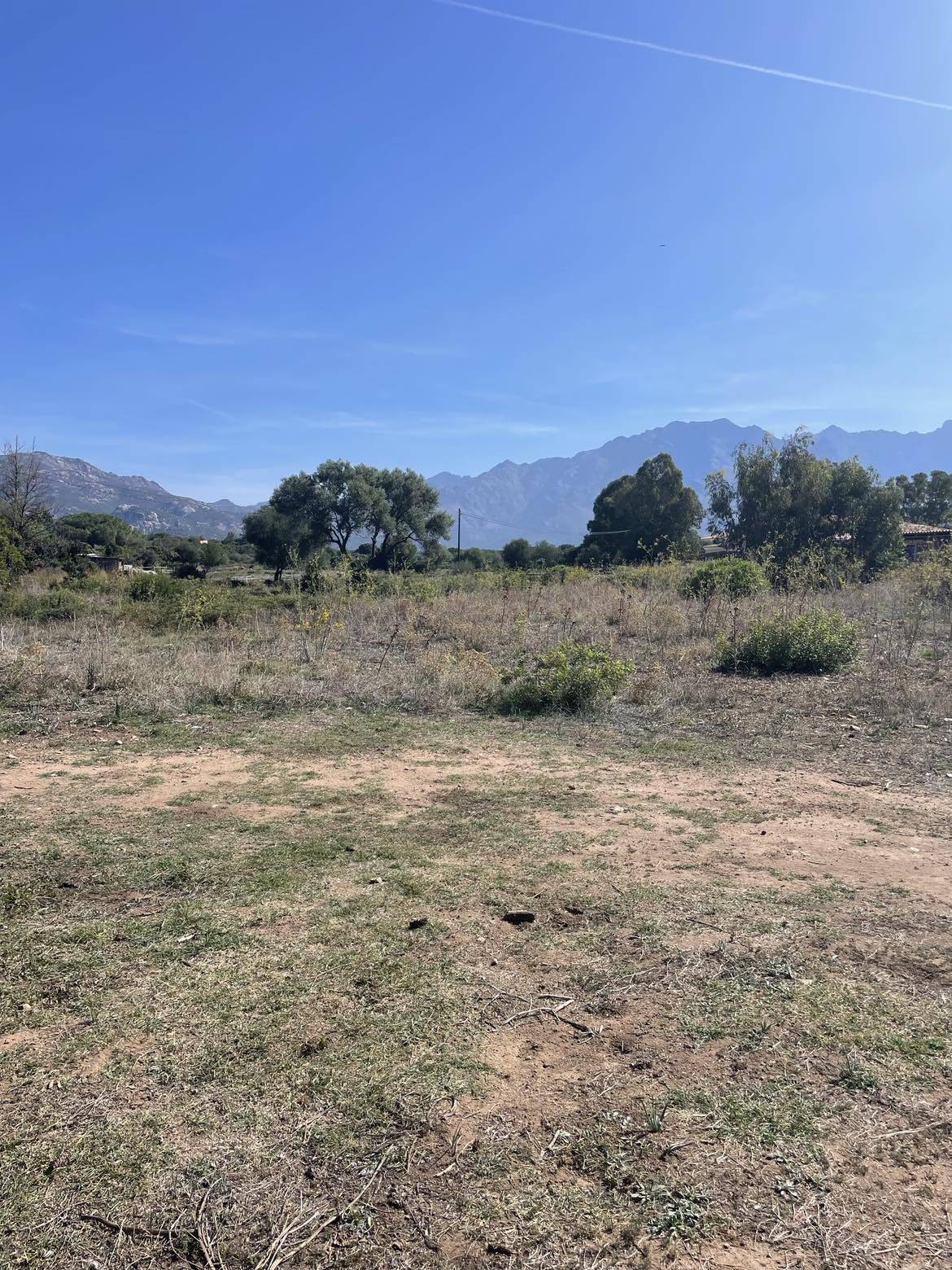 Terrain de 978 m² à Calvi - photo 2
