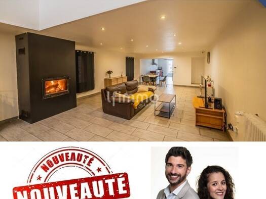 Maison à vendre 175 000 € 6 pièces 4 chambres 220 m² 479 m² de terrain Baronville 57340