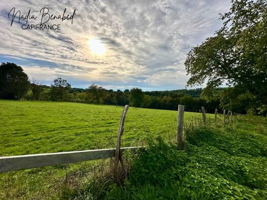 Terrain constructible à vendre 85 000 € 4 630 m² de terrain Maizilly 42750