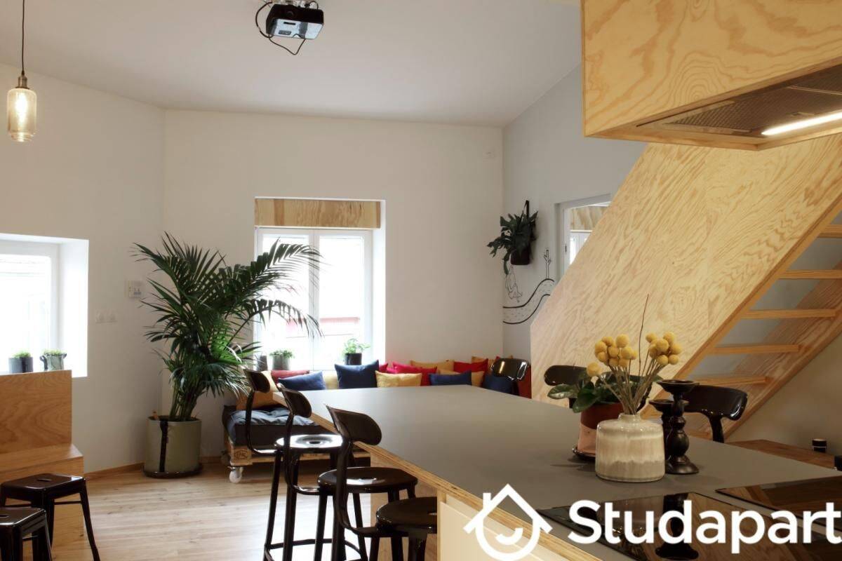 1 pièce 65 m² · à Bordeaux · 65 m² · 730 €/mois