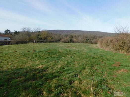 Terrain constructible à vendre 95 500 € 1 235 m² de terrain Neuville-sur-Ain 01160