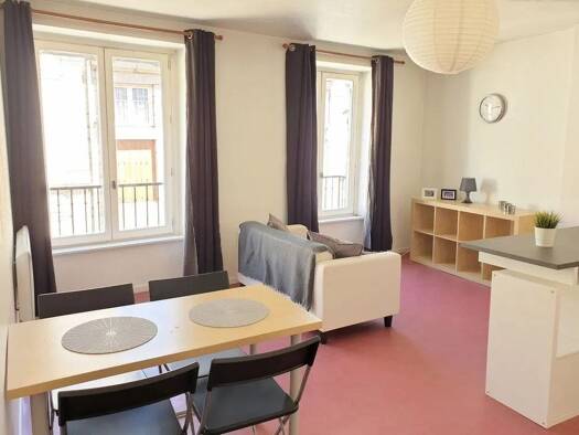 Appartement à louer - logement étudiant 495 € 2 pièces 1 chambre 45 m² 3ème étage Saint-Étienne 42000