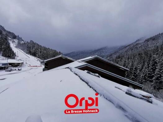 Duplex à vendre 192 600 € 3 pièces 2 chambres 41,1 m² La Bresse 88250