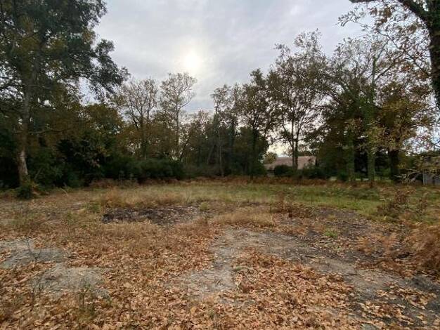 Terrain constructible viabilisé à vendre 236 000 € 612 m² de terrain Moliets-et-Maa 40660