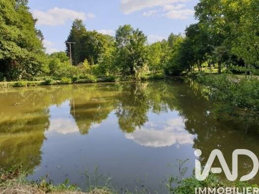 Propriété de loisirs à vendre 49 000 € 11 797 m² de terrain Montreuil-le-Henri 72150