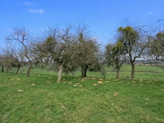 Terrain à vendre 16 500 € 5 552 m² de terrain Pure 08110