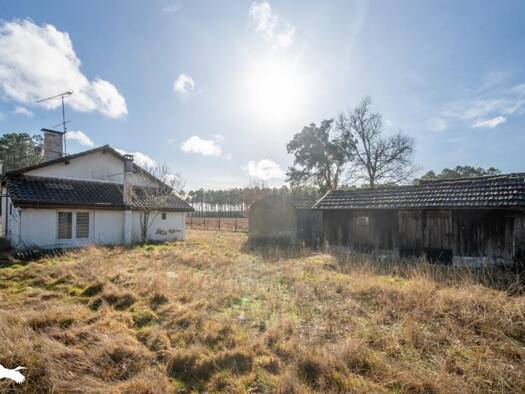Maison à vendre 236 700 € 3 pièces 2 chambres 95 m² 1 617 m² de terrain Vielle-Saint-Girons 40560