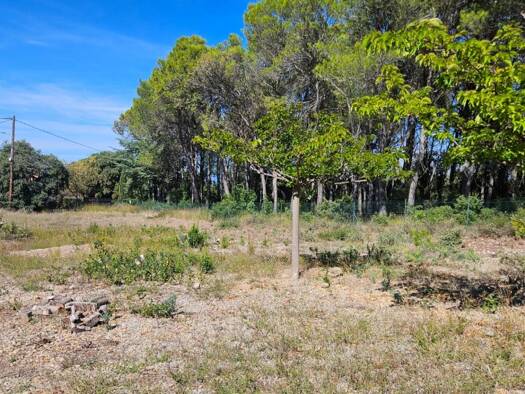 Terrain constructible à vendre 357 840 € 3 360 m² de terrain Vendémian 34230