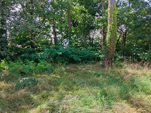 Terrain à vendre 409 000 € 3 621 m² de terrain Ecarts-Ruraux Cestas 33610