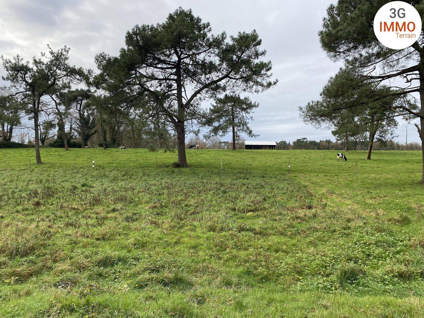Terrain de 796 m² à Grand-Champ - photo 2