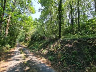 Terrain à vendre 35 000 € 9 330 m² de terrain Roquecourbe 81210