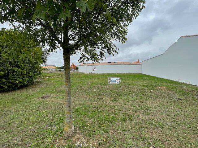 Terrain de 495 m² à Saint-Rogatien - photo 2