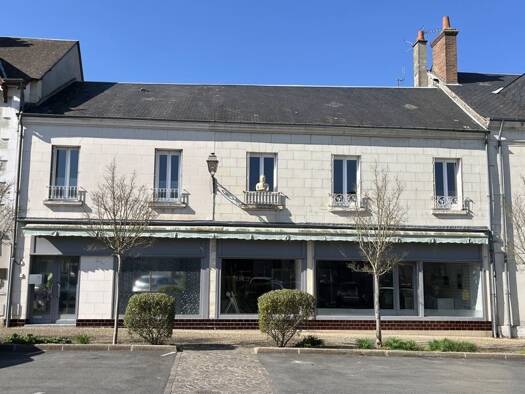Immeuble à vendre 213 000 € 376 m² Valençay 36600