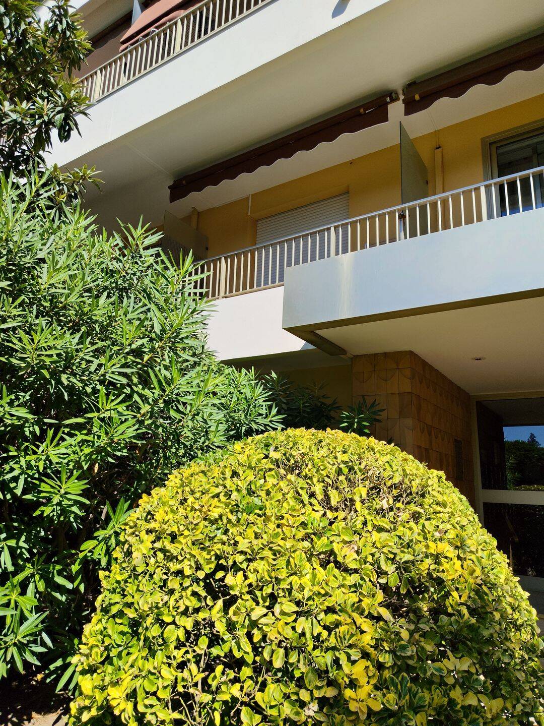 Appartement 1 pièce 16 m² · à Antibes · 16 m² · 600 €/mois