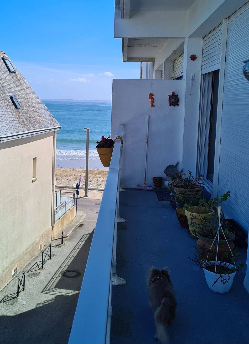 Appartement 3 pièces 51 m² · à Quiberon · 51 m² · 350 000 €