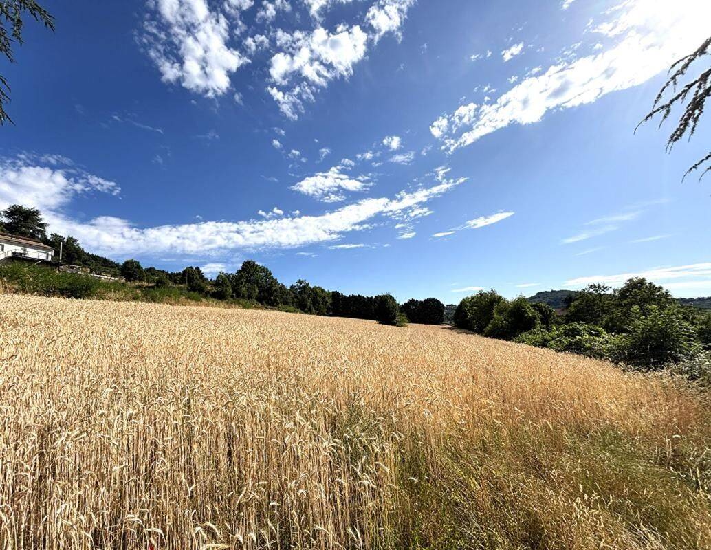 Terrain de 700 m² à Bourg-Argental - photo 2