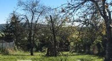 Terrain constructible à vendre 100 000 € 1 703 m² de terrain Froidefontaine 90140