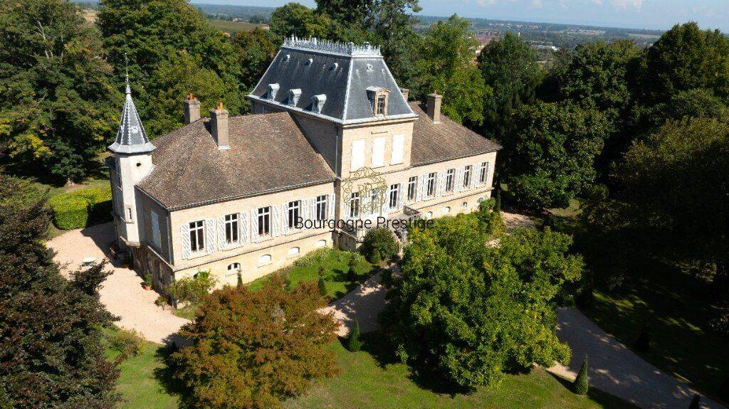 Maison 16 pièces 578 m² · à Mâcon · 578 m² · 1 550 000 €