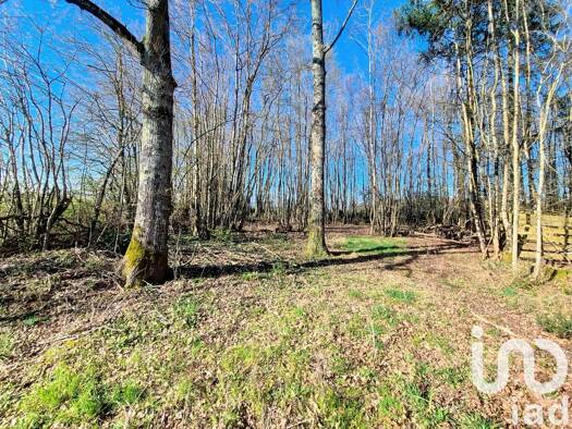 Propriété de loisirs à vendre 15 500 € 3 380 m² de terrain Saint-Firmin-des-Bois 45220