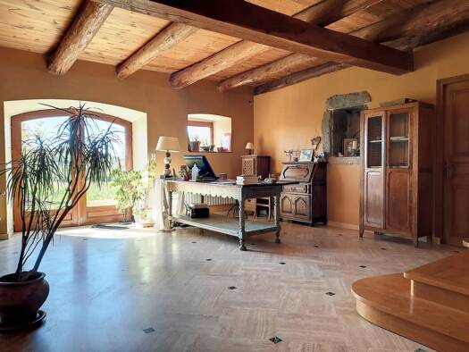 Maison à vendre 449 000 € 14 pièces 439 m² 1 360 m² de terrain Chaspinhac 43700