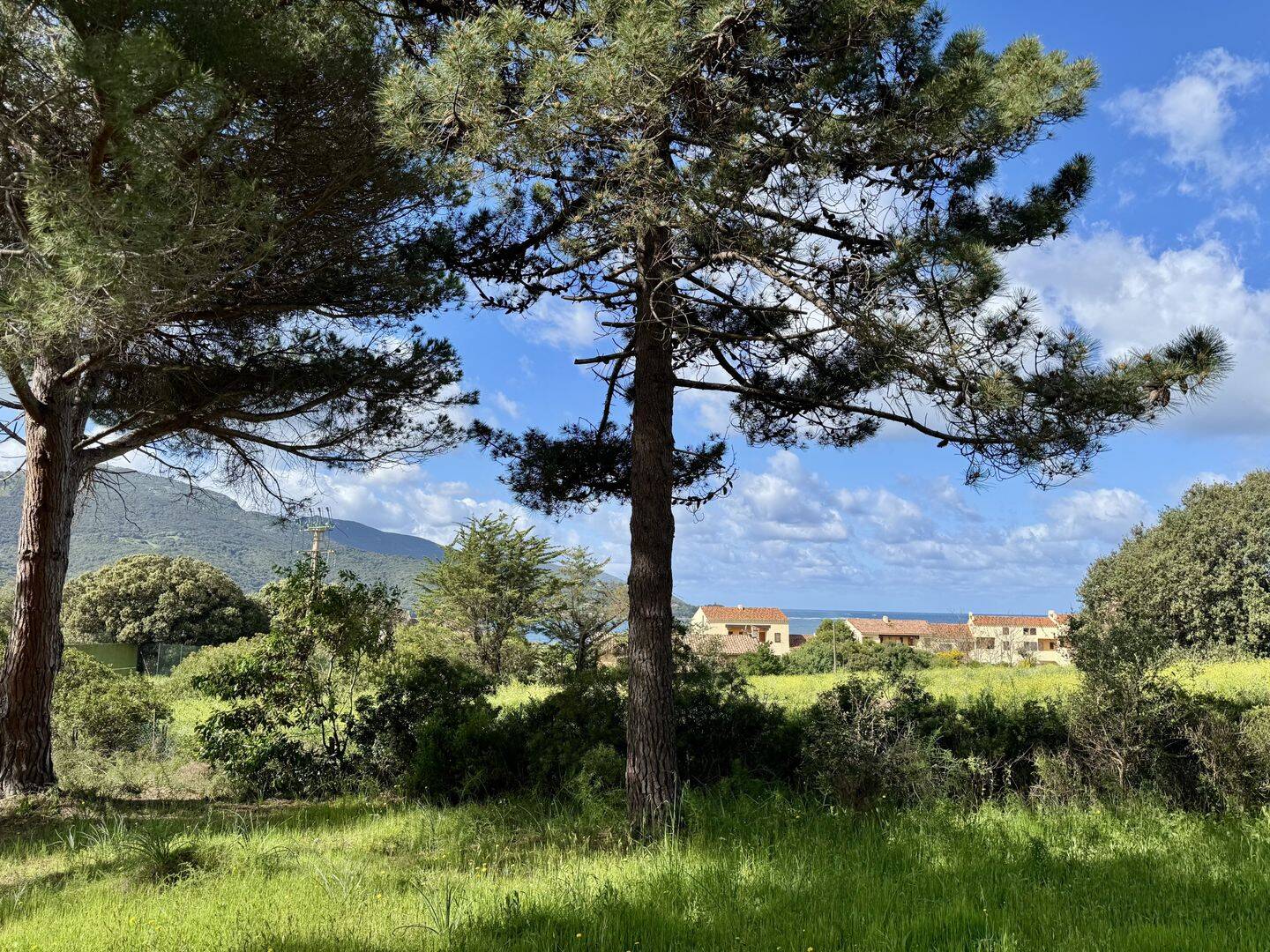 Terrain de 916 m² à Calcatoggio - photo 2