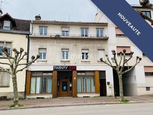 Immeuble à vendre 250 000 € 336 m² Blies  Sarreguemines 57200