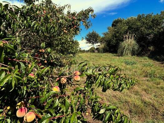Propriété de loisirs à vendre 45 000 € 8 400 m² de terrain Bain-de-Bretagne 35470