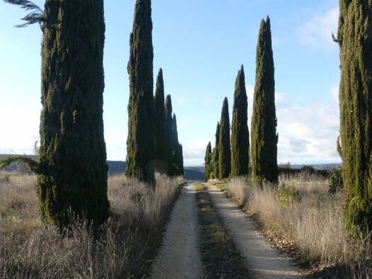 Terrain constructible à vendre 249 000 € 27 155 m² de terrain Salazac 30760