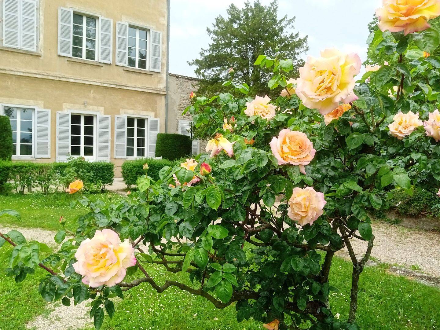 Appartement 3 pièces 90 m² · à Irigny · 90 m² · 430 000 €
