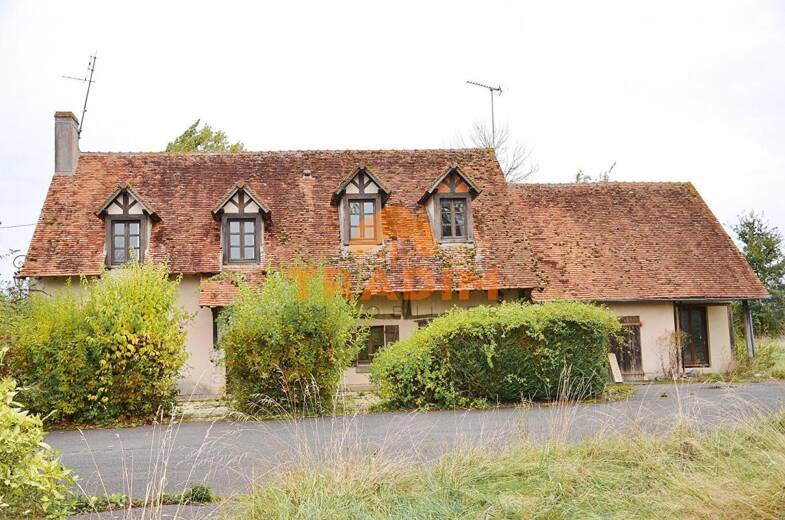 Maison à vendre 424 000 € 21 pièces 15 chambres 488 m² 20 000 m² de terrain Gien 45500