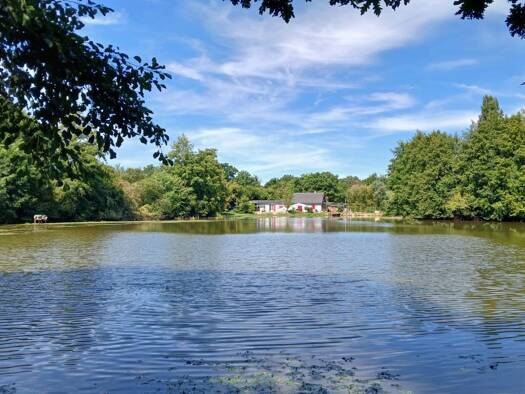 Maison à vendre 355 000 € 4 pièces 3 chambres 137 m² 15 600 m² de terrain Saint-Bonnet-Tronçais 03360