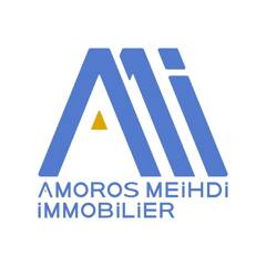 AMOROS IMMOBILIER logo